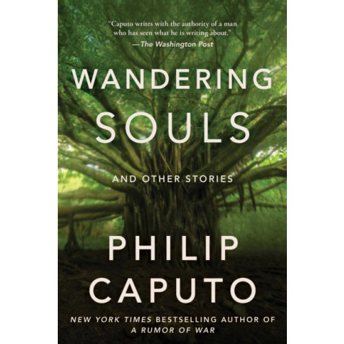 Skyhorse Publishing Wandering Souls (inbunden, eng)
