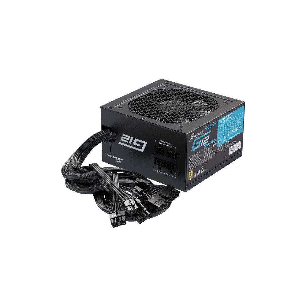 Produktbild för Seasonic FOCUS GM 850 - nätaggregat - 850 Watt