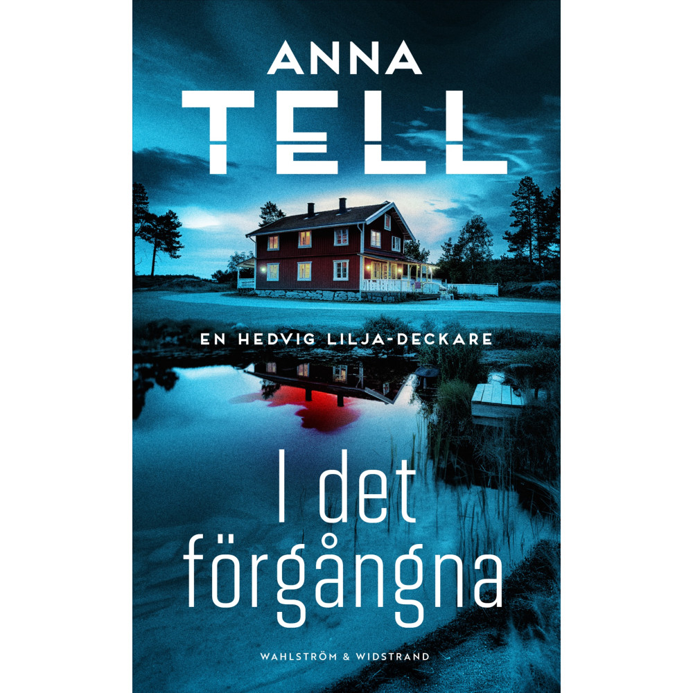 Produktbild för I det förgångna (pocket)