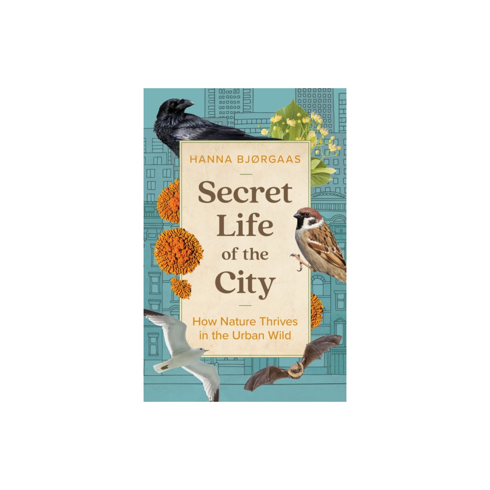 Produktbild för Secret Life of the City (inbunden, eng)