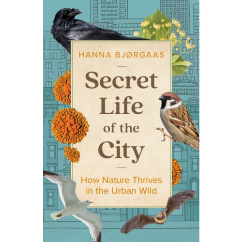 Greystone Books,Canada Secret Life of the City (inbunden, eng)