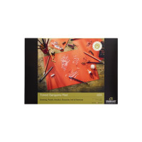 Produktbild för Rembrandt tonat papper Sanguine Red A3 | 42 x 29,7 cm, 180 g...