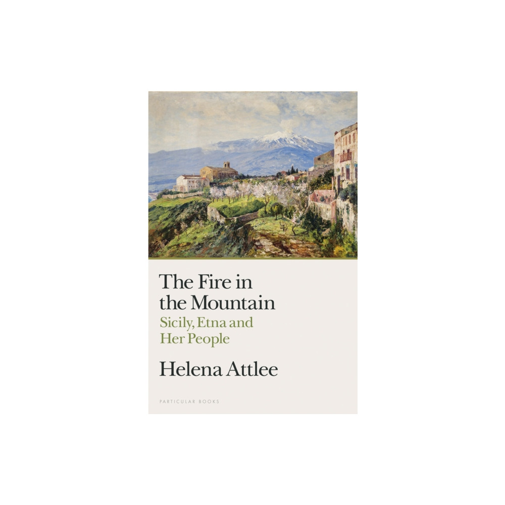 Produktbild för The Fire in the Mountain (inbunden, eng)