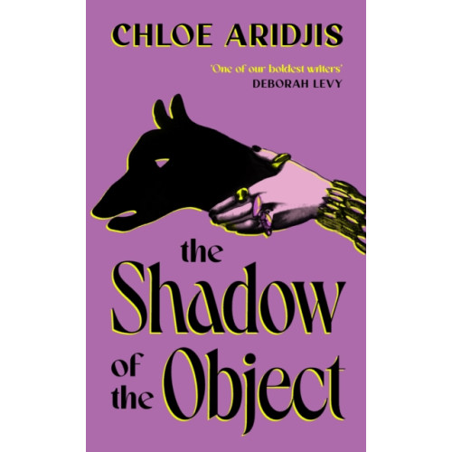 Vintage Publishing The Shadow of the Object (inbunden, eng)