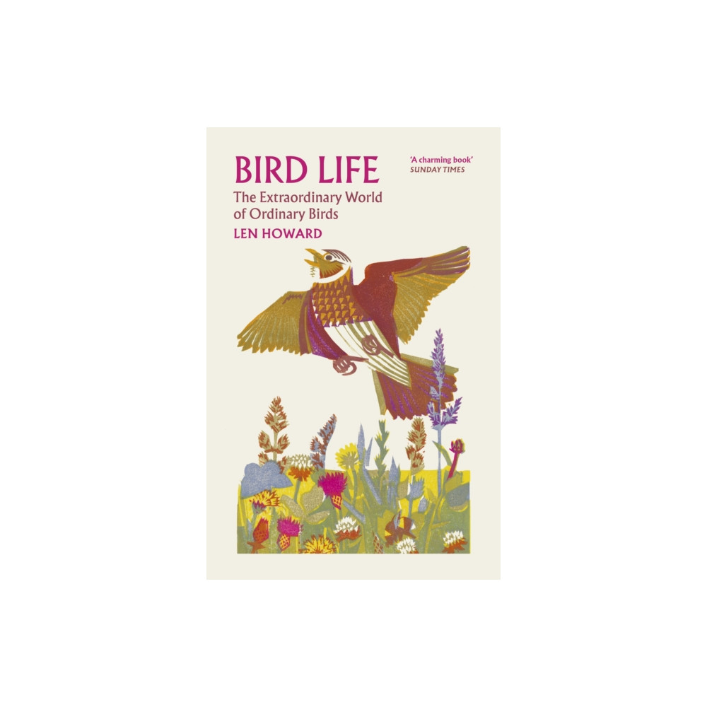 Produktbild för Bird Life (häftad, eng)