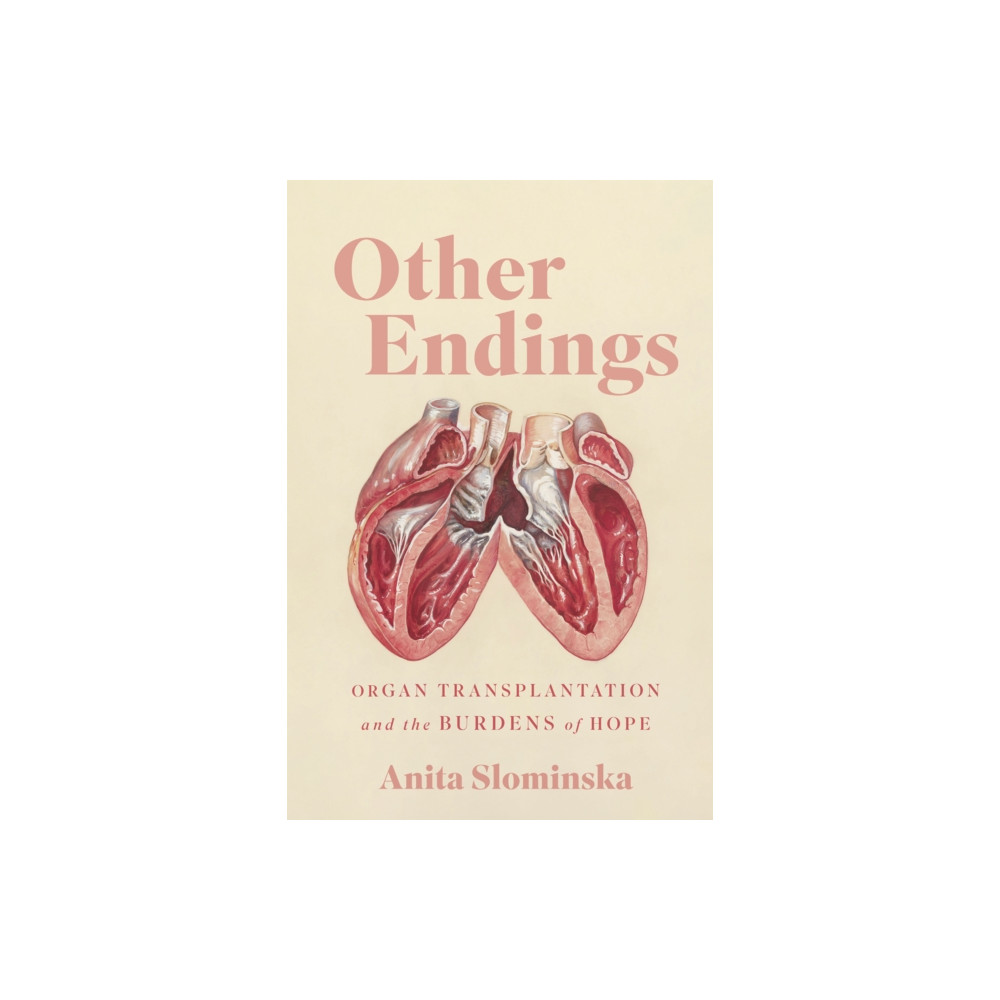 Produktbild för Other Endings (häftad, eng)