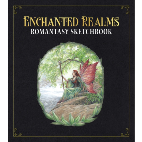 Quarto Publishing Group USA Inc Enchanted Realms - A Guided Drawing Journey (häftad, eng)