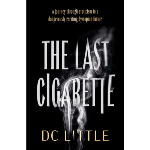 Troubador Publishing The Last Cigarette (häftad, eng)