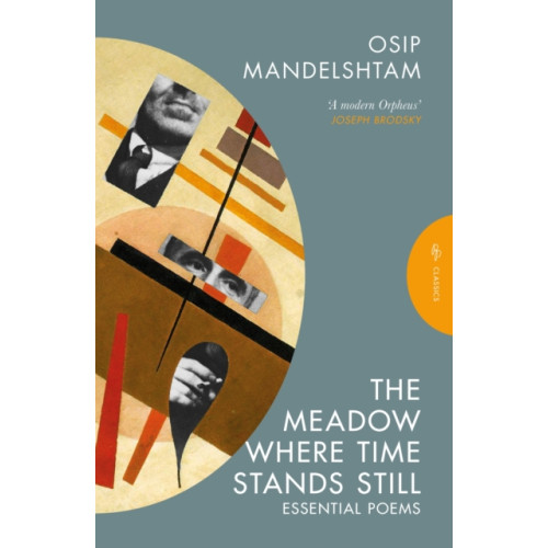 Pushkin Press The Meadow Where Time Stands Still (häftad, eng)