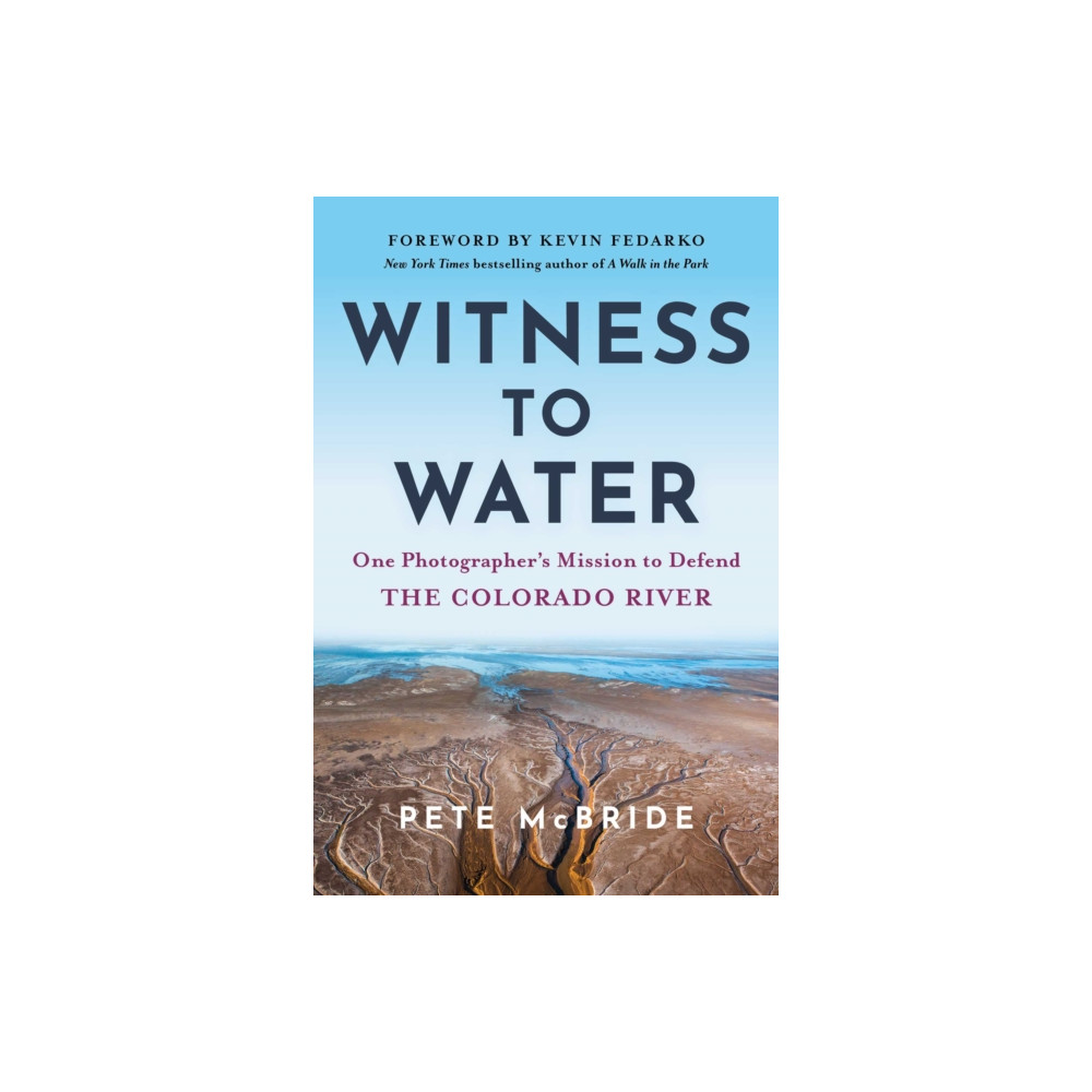 Produktbild för Witness to Water (häftad, eng)