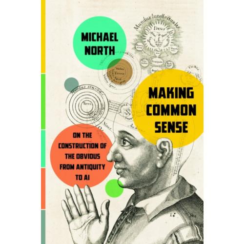 Stanford university press Making Common Sense (häftad, eng)