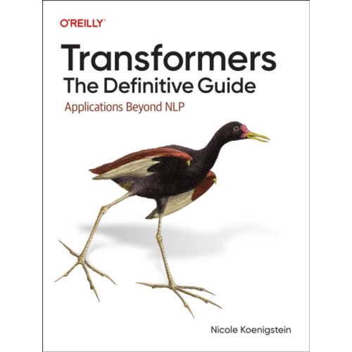 O'Reilly Media Transformers: The Definitive Guide (häftad, eng)