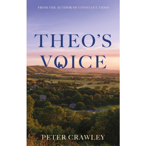 Troubador Publishing Theo’s Voice (häftad, eng)
