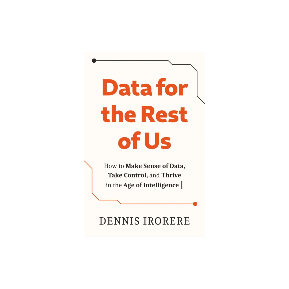 Produktbild för Data for the Rest of Us (häftad, eng)
