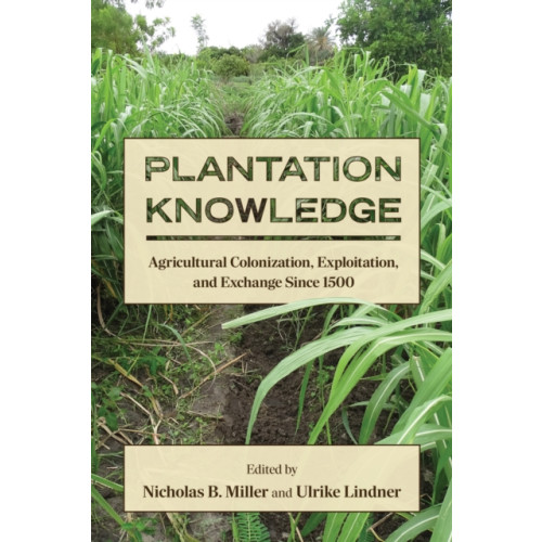 State University of New York Press Plantation Knowledge (häftad, eng)