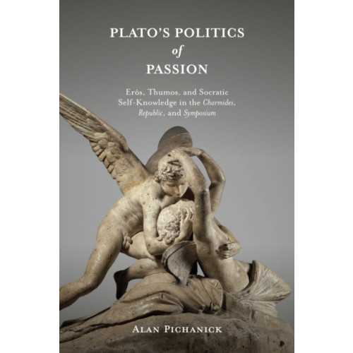 State University of New York Press Plato's Politics of Passion (häftad, eng)