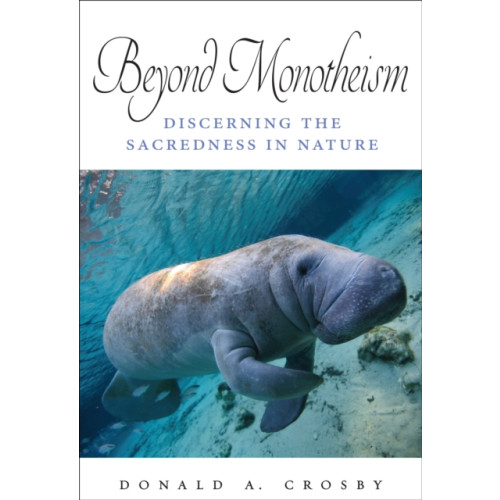 State University of New York Press Beyond Monotheism (häftad, eng)