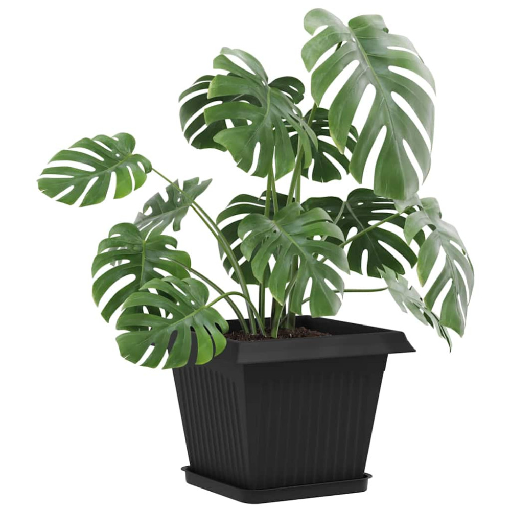 Produktbild för Fyrkantig Blomkruka 6 pcs Svart 21 x 21 x 2 cm Plast