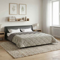 Produktbild för Sommar Duvet Ljusgrå 220 x 260 cm Mikrofiber och Teddyfleece