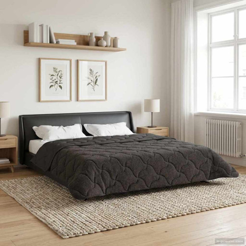 vidaXL Vinter Täcke Antracit 200 x 200 cm Mikrofiber och Teddyfleece