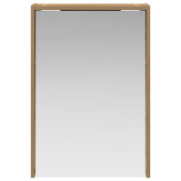 Produktbild för Badrumsspegelskåp Artisan Ek 43 x 16 x 62.5 cm Konstruerat trä