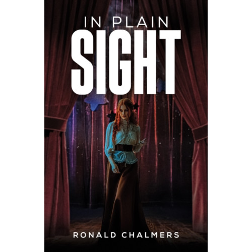 Austin Macauley Publishers In Plain Sight (häftad, eng)