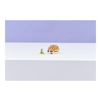 Produktbild för LEGO Creator 3in1 31376 - Söt Hamster med en Blomma - byggsats