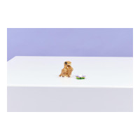 Produktbild för LEGO Creator 3in1 31376 - Söt Hamster med en Blomma - byggsats