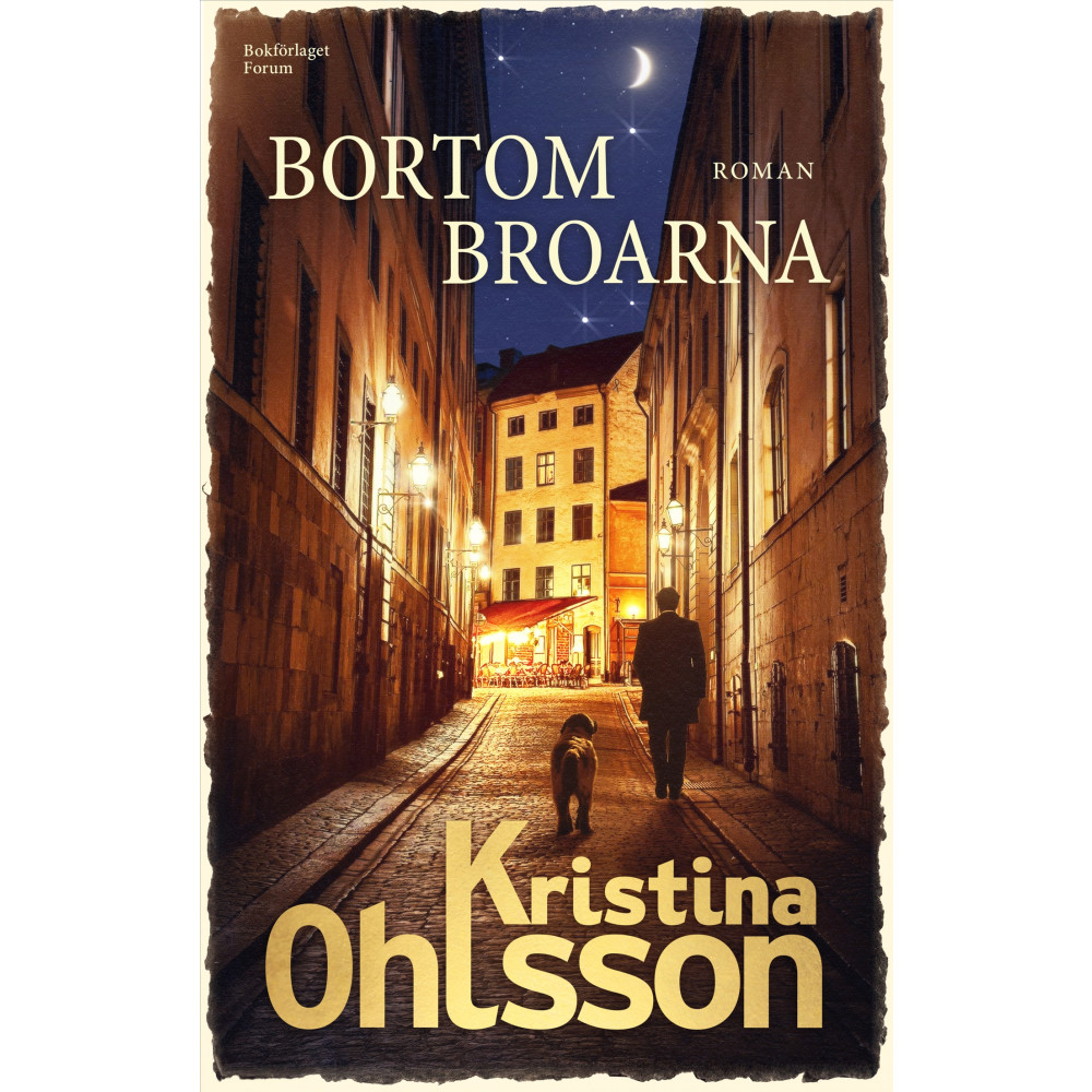 Produktbild för Bortom broarna (inbunden)