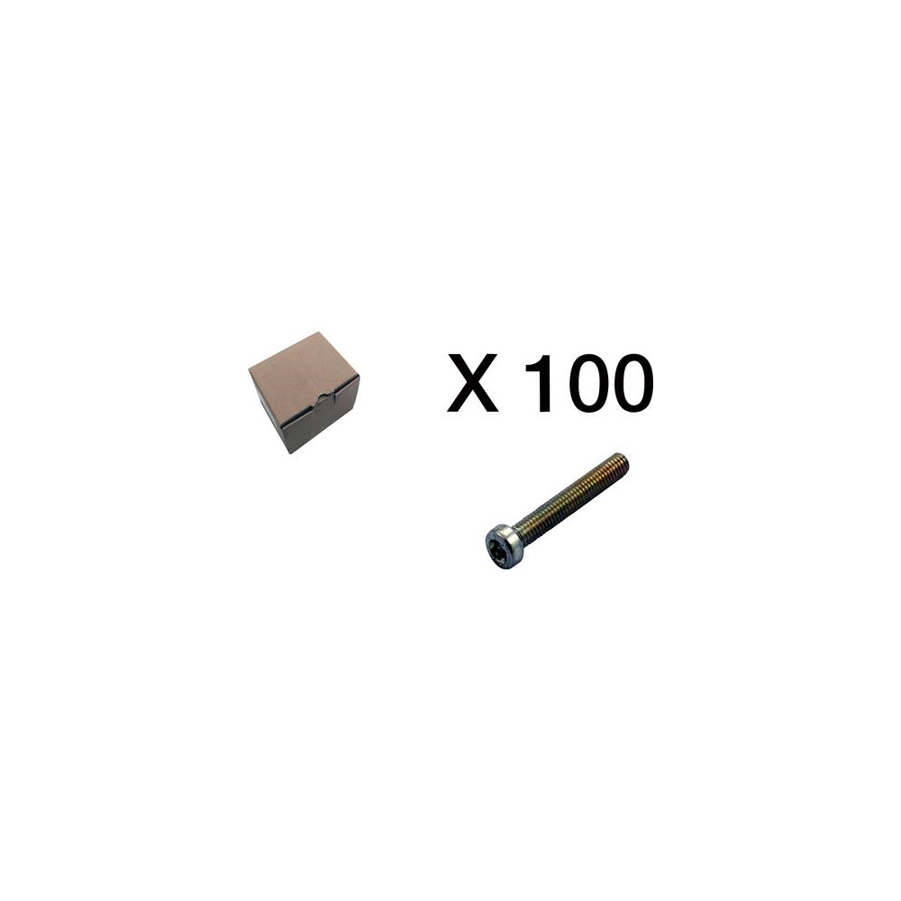 Produktbild för CUBIC cylinderskruv, torx, lågt huvud, förpackning med 100 s...