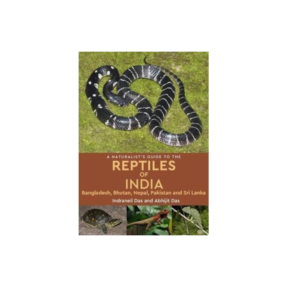 Produktbild för A Naturalist's Guide to the Reptiles of India (häftad, eng)