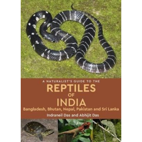 JB Publishing A Naturalist's Guide to the Reptiles of India (häftad, eng)