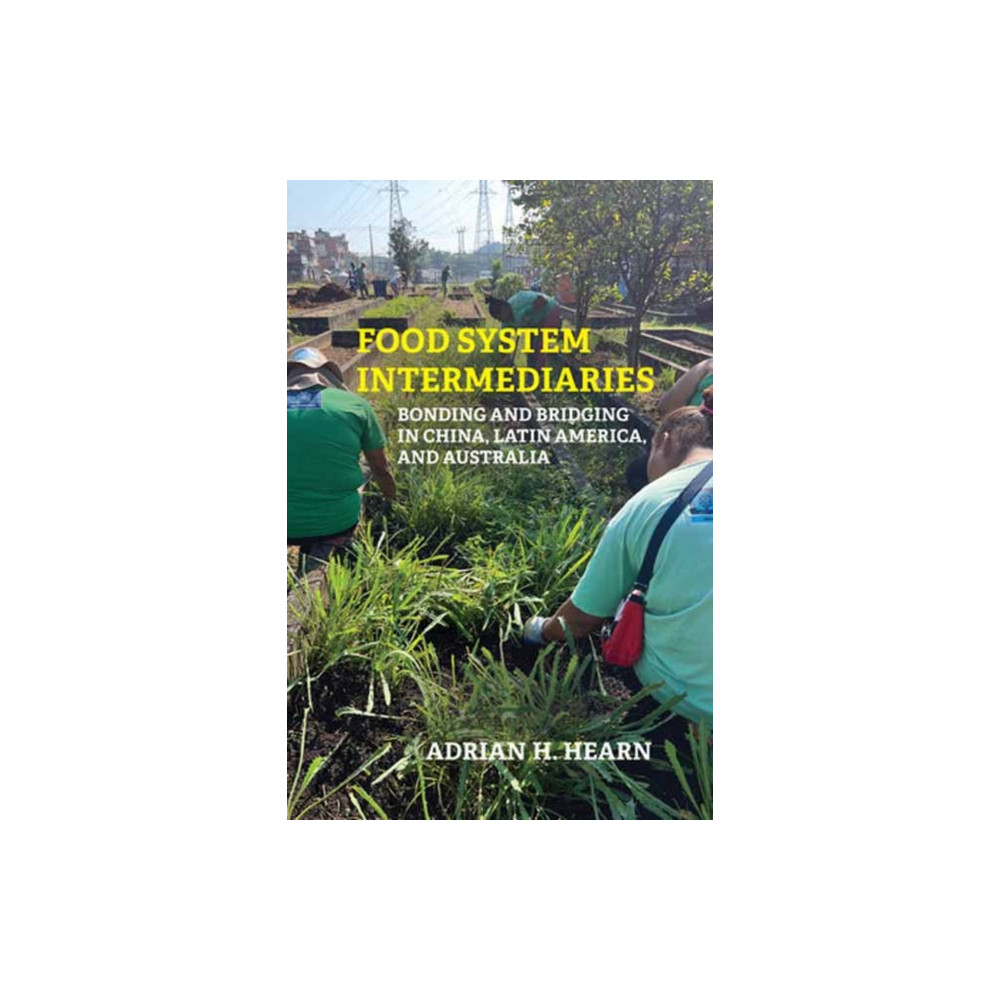 Produktbild för Food System Intermediaries (häftad, eng)