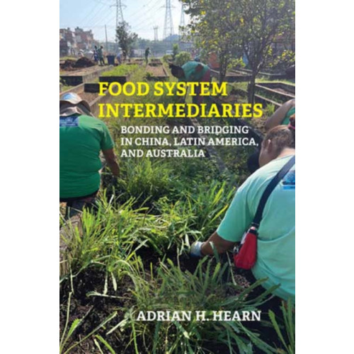 Mit press ltd Food System Intermediaries (häftad, eng)