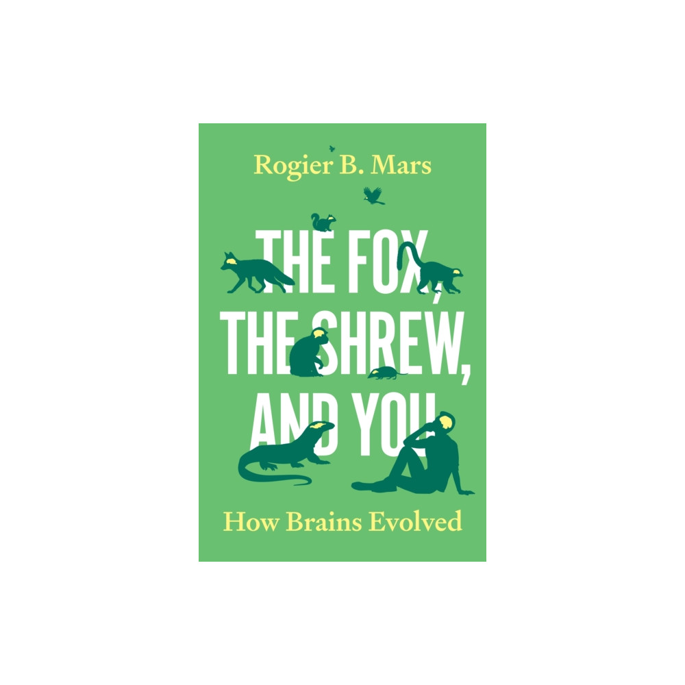 Produktbild för The Fox, the Shrew, and You (inbunden, eng)