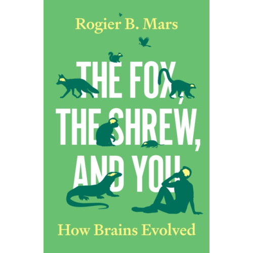 Princeton University Press The Fox, the Shrew, and You (inbunden, eng)
