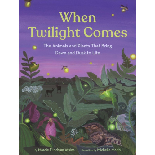 Chronicle Books When Twilight Comes (inbunden, eng)
