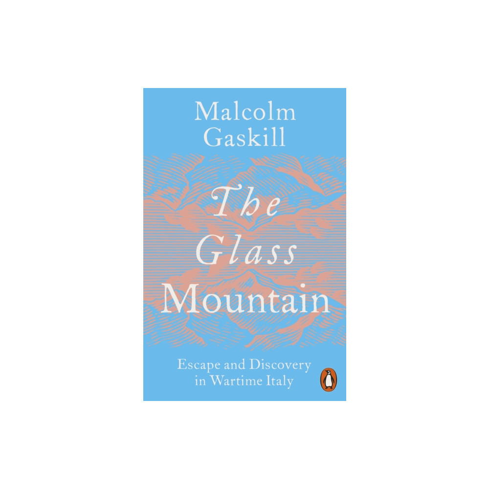 Produktbild för The Glass Mountain (häftad, eng)