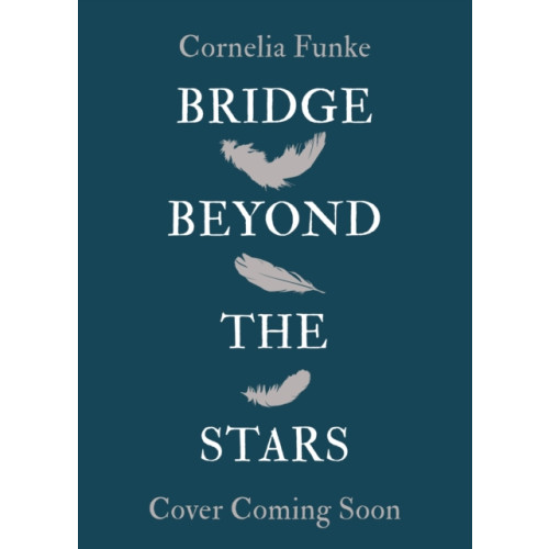 Hachette Children's Group The Bridge Beyond the Stars (inbunden, eng)