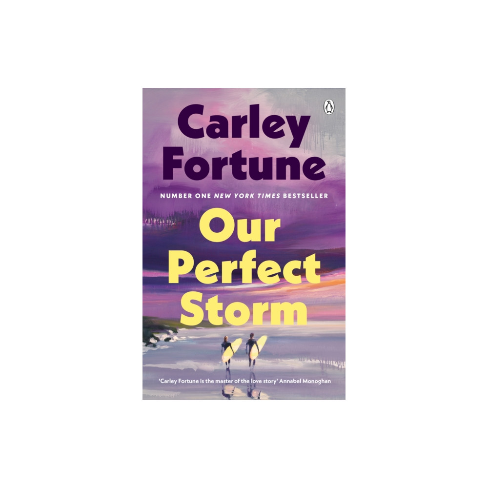Produktbild för Our Perfect Storm (inbunden, eng)