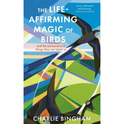 Quarto Publishing Plc The Life-Affirming Magic of Birds (häftad, eng)