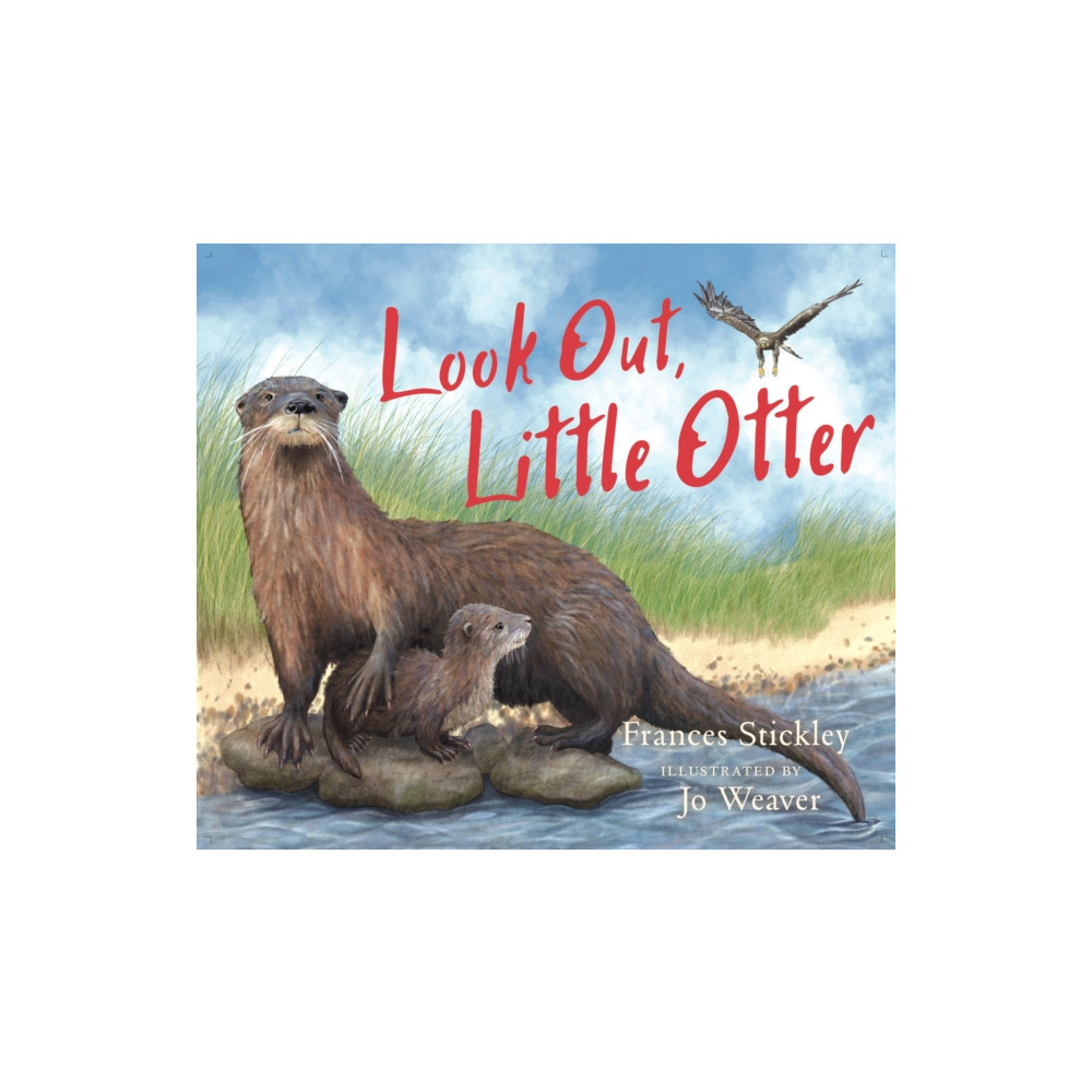 Produktbild för Look Out, Little Otter (häftad, eng)