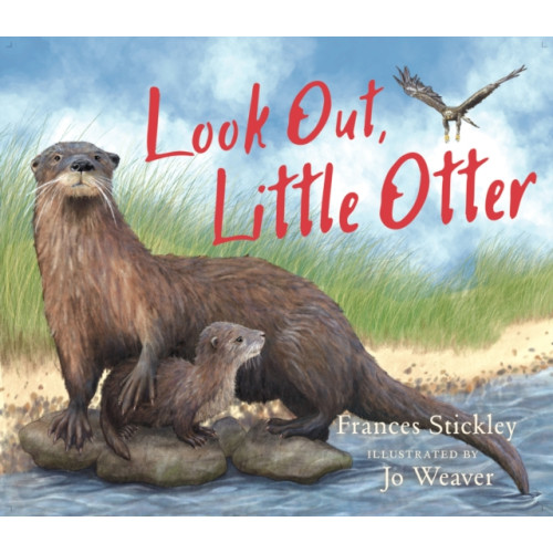 Birlinn General Look Out, Little Otter (häftad, eng)