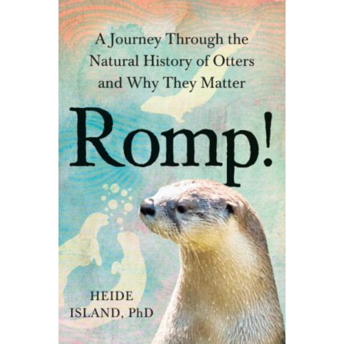 Penguin Putnam Inc Romp! (inbunden, eng)