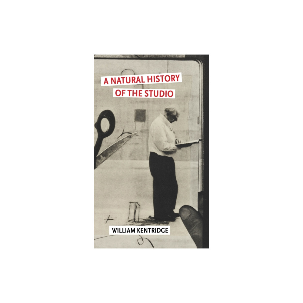 Produktbild för A Natural History of the Studio (häftad, eng)