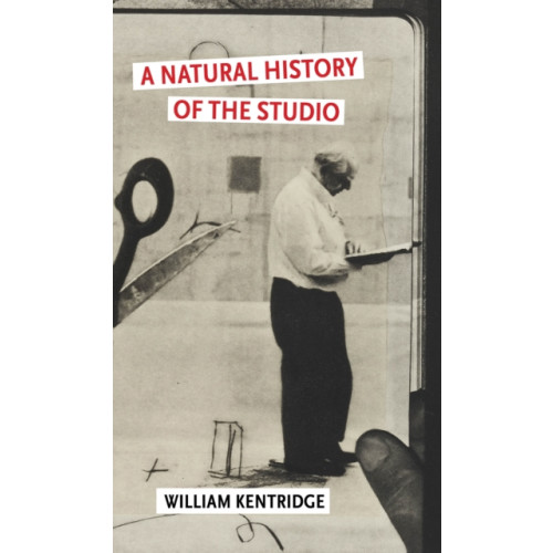 Atlantic Books A Natural History of the Studio (häftad, eng)