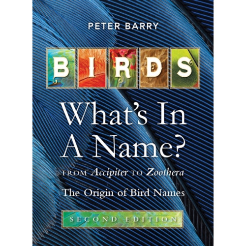 New Holland Publishers Birds: What's in a Name (häftad, eng)