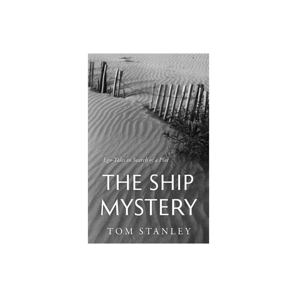 Produktbild för The Ship Mystery (häftad, eng)