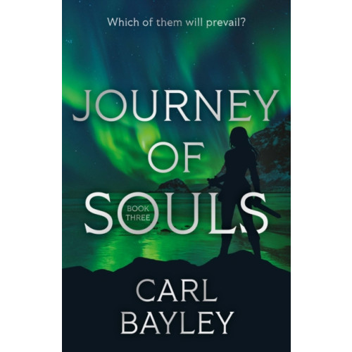 Troubador Publishing Journey of Souls (häftad, eng)