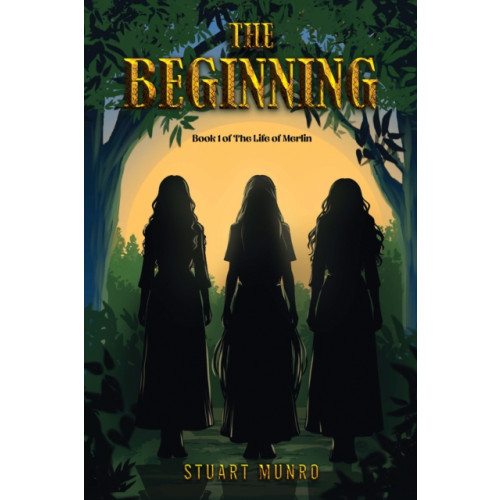 Austin Macauley Publishers The Beginning (häftad, eng)